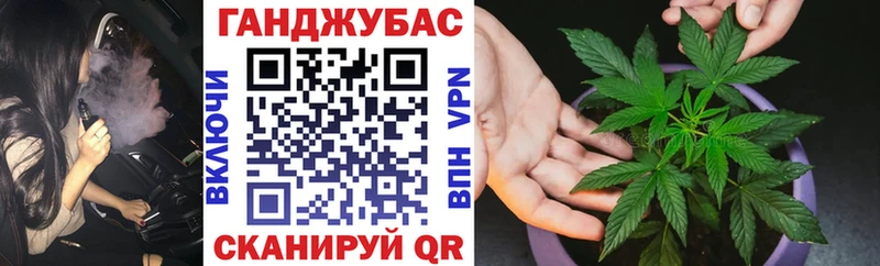 ОМГ ОМГ зеркало  Ачхой-Мартан  Бошки Шишки ГИДРОПОН 